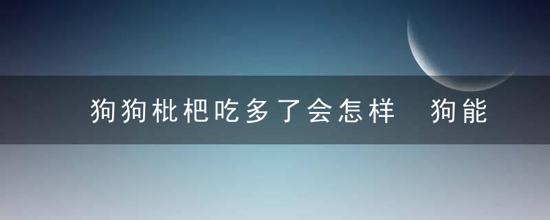 狗狗枇杷吃多了会怎样 狗能吃枇杷吗